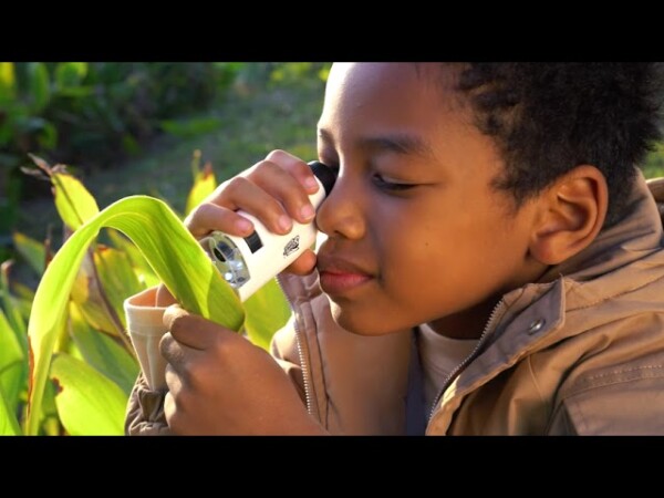 Kid's Portable Pocket Microscope with Adjustable 60-120x zoom